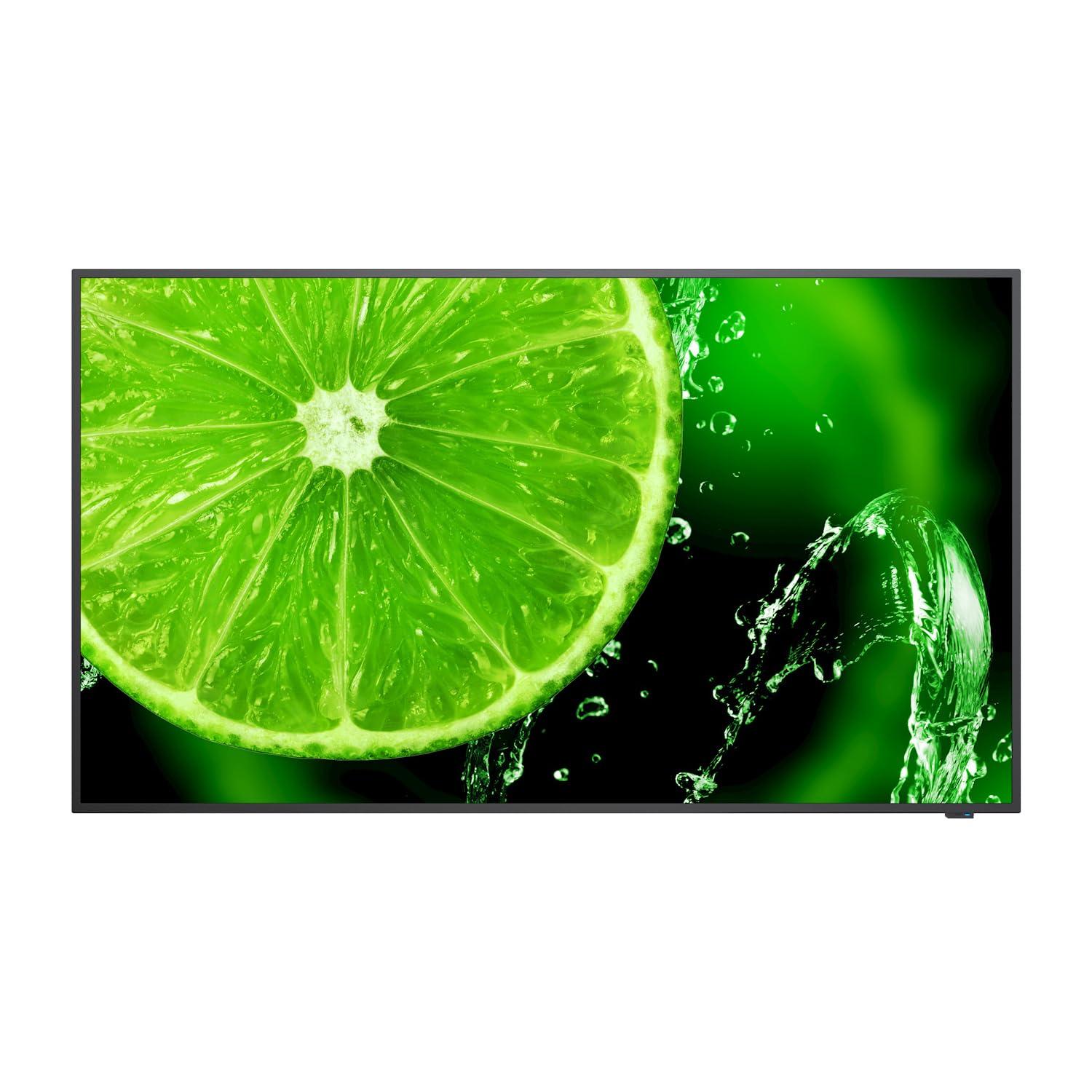 nec-e438-multisync-lfd