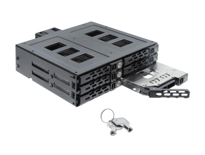 delock-5-25-wechselrahmen-f-r-6-x-2-5-sata-oder-sas-hdd-ssd-mit-schloss-47142