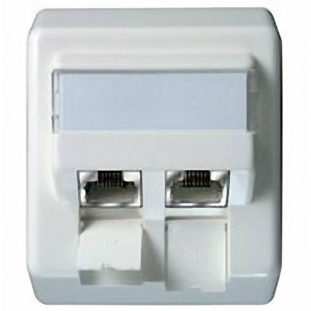 telegartner-j00023a0207-presa-di-rete-telegaertner-da-parete-cat-6a-2-porte-colore-bianco-perla