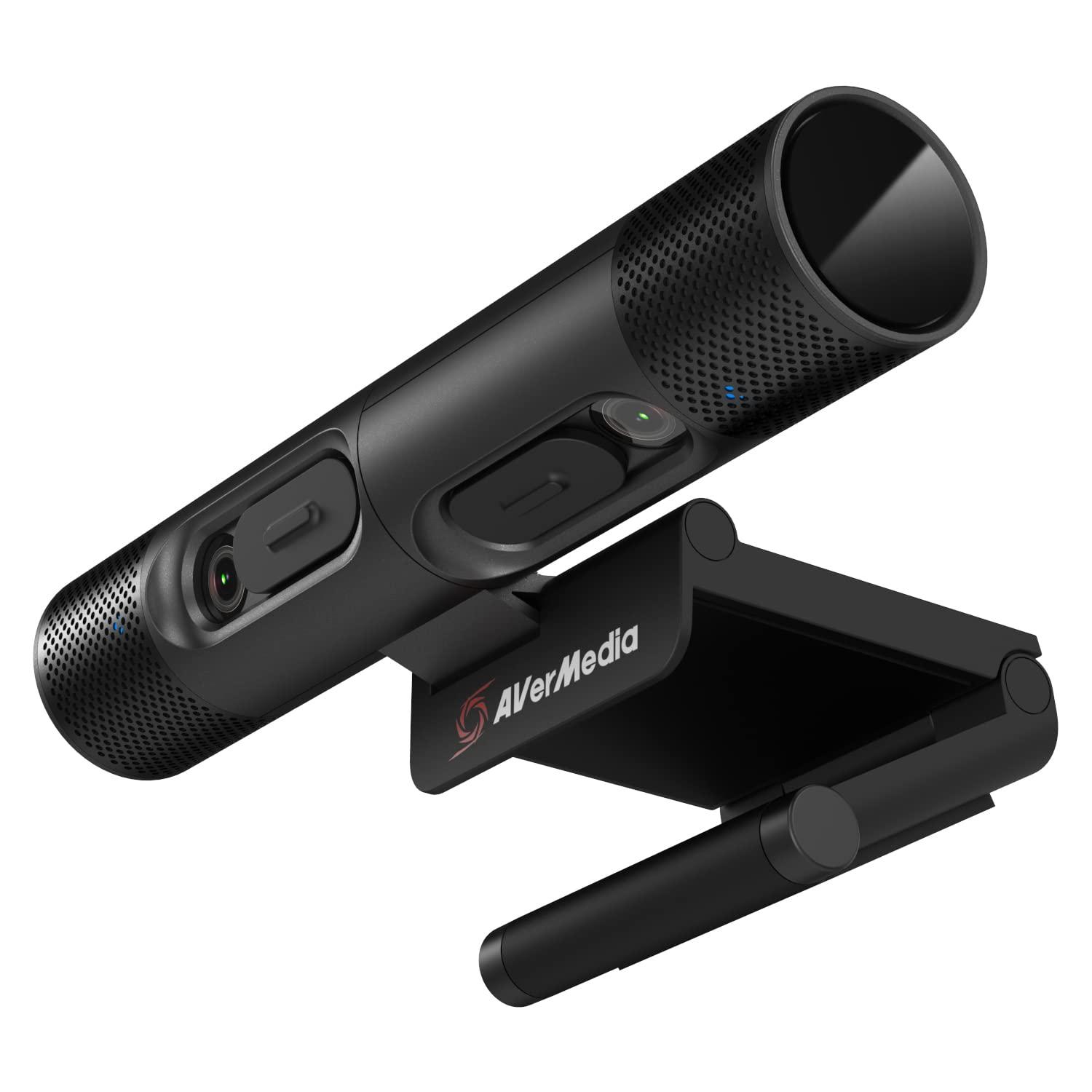 avermedia-webcam-dualcam-cam-pw313d-con-micro-61pw313d00ae